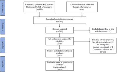 Impact of deep brain stimulation on urogenital function in Parkinson’s disease: a systematic review and meta-analysis